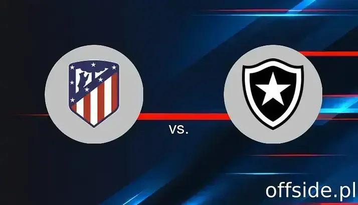 Atletico Madryt - Botafogo: gdzie oglądać? Transmisja TV i Online | 23.06.2025